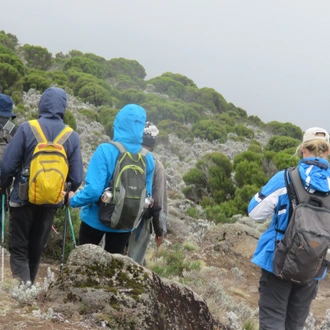 tourhub | Burigi Chato Safaris | 6 DAYS MACHAME ROUTE KILIMANJARO HIKING GROUP JOINING DEPARTURE DATES & COST IN 2023,2024,2025. 