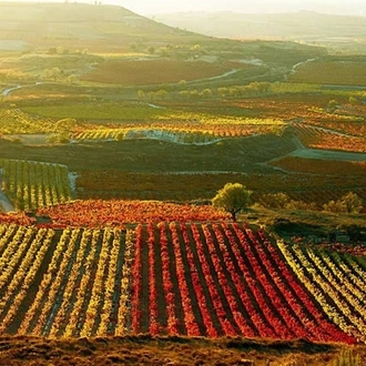 tourhub | Exodus Adventure Travels | Vineyards of La Rioja Cycling 