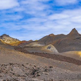 tourhub | Ecuador Galapagos Travels | 8 Days Galapagos Island Hopping in Santa Cruz and Isabela 