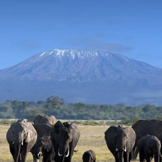 tourhub | On The Go Tours | Kenya Wildlife Wonders - 9 days 