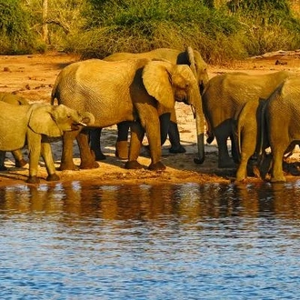 tourhub | On The Go Tours | Hwange, Chobe & Falls - 10 days 