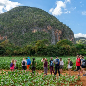 tourhub | Cuban Adventures | 11 Day Holiday Rumba 