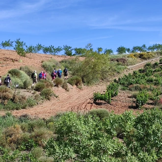 tourhub | Exodus Adventure Travels | Walk Spain's Sierra Nevada & Granada 