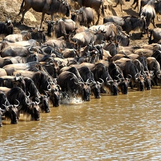 tourhub | Gracepatt Ecotours Kenya | 4 Days Masai Mara and Lake Nakuru Camping Safari 