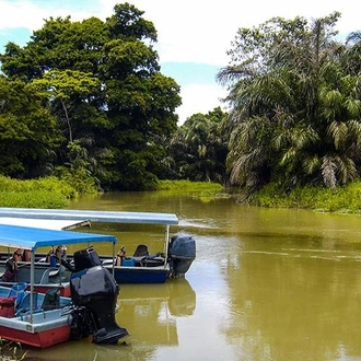 tourhub | Bamba Travel | Tortuguero National Park Adventure 4D/3N 