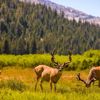 tourhub | Explore! | Western USA National Parks Explorer 