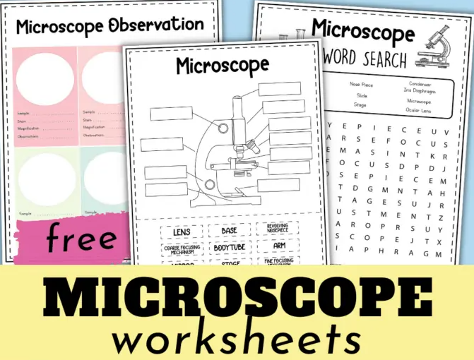 20 Marvellous Microscope Activity Ideas - Teaching Expertise