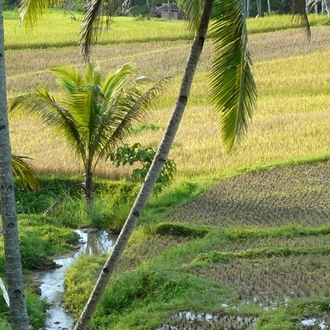 tourhub | SpiceRoads Cycling | Island Hopping the Philippines 