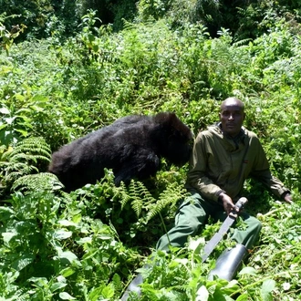 tourhub | Exodus Adventure Travels | Gorillas &amp; Masai Mara - Camping 