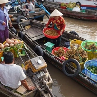 tourhub | Mr Linh's Adventures | Adventure in Mekong Delta 3 days 2 nights 