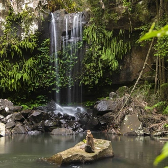 tourhub | Intrepid Travel | Walk Queensland's Scenic Rim 