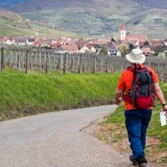 tourhub | Walkers' Britain | Alsace Vineyard Trails 