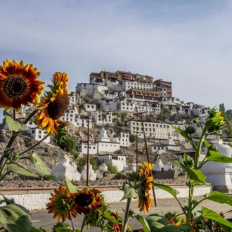 tourhub | Agora Voyages | Mystic Ladakh - A Cultural Tour 