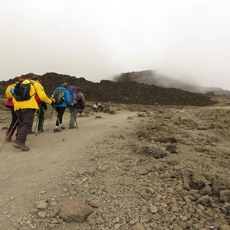 tourhub | Widerange African Safaris | 6 days Machame route Kilimanjaro climbing joining Small group tour package 