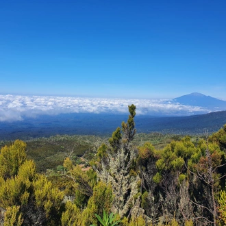 tourhub | Razan Safaris | Best 6 days Kilimanjaro Climbing Machame route 