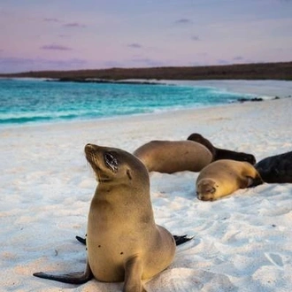 tourhub | Ecuador Galapagos Travels | 7 Days Galapagos Expedition: San Cristobal & Santa Cruz Island 