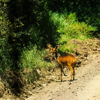 tourhub | Beach and Safari Holidays | Tanzanian Splendours: From Wildlife to Wonders 