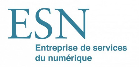 ESN-Entreprises de Services Du Numérique