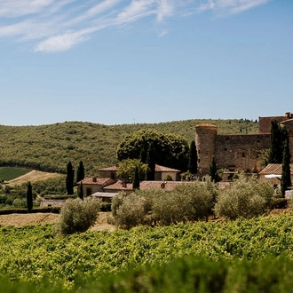 tourhub | Angel Wine Experiences | The Best Wines of Tuscany in 5 Exclusive Days from Florence 