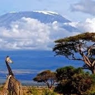 tourhub | Mbega African Safaris | 6 Days Kilimanjaro Climb Machame Route 