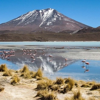 tourhub | Signature DMC | 4-Days Experience at Uyuni Salt Flat From San Pedro de Atacama 