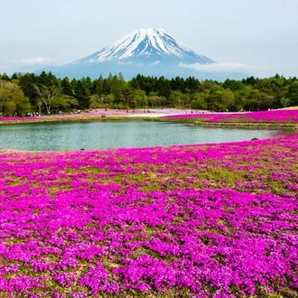 tourhub | Bamba Travel | Hakone Discovery, Gateway to Mt. Fuji 3D/2N 