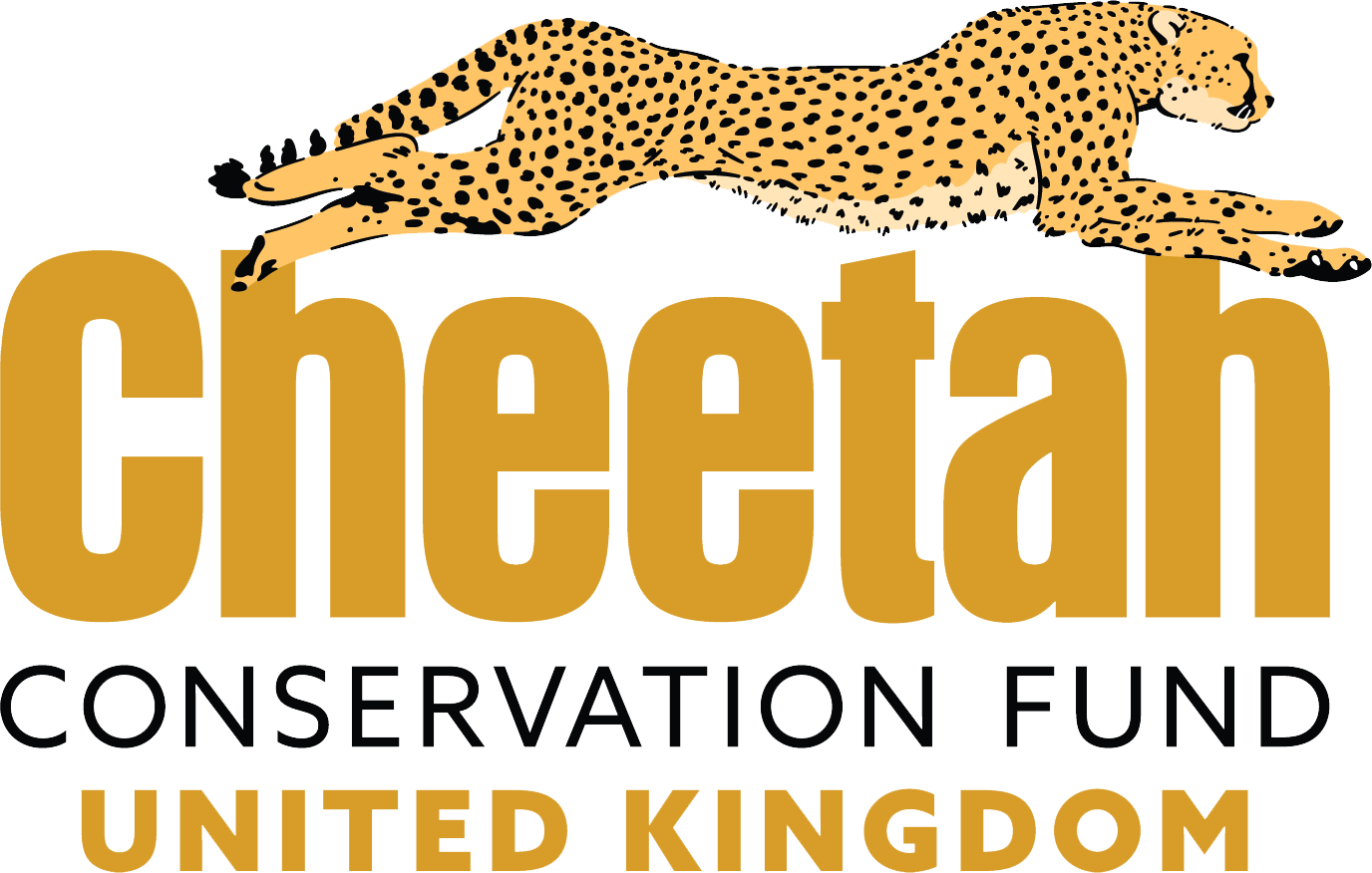 Cheetah Conservation Fund UK logo