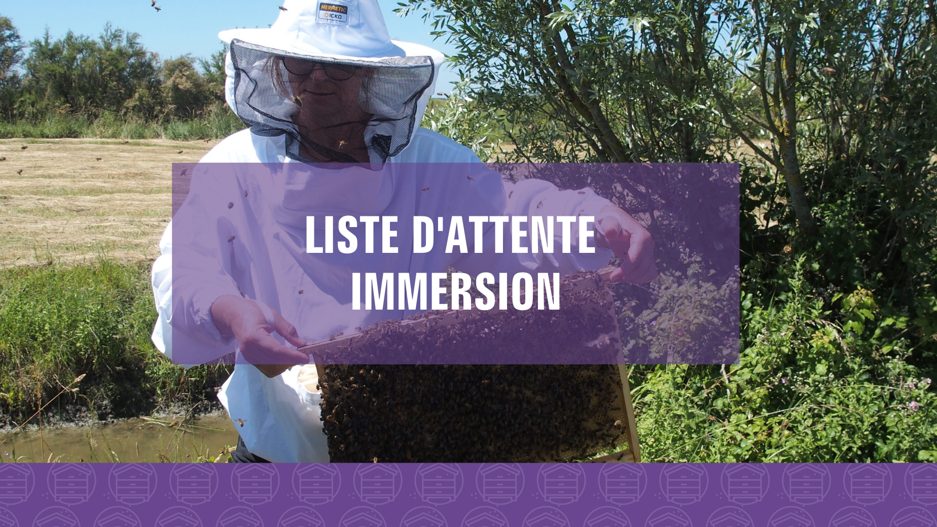 Représentation de la formation : Immersion en apiculture (Liste d'attente)