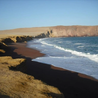 tourhub | Bamba Travel | Ballestas Islands & Sand-Boarding Adventure 2D/1N 