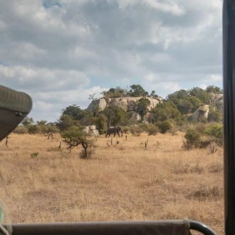 tourhub | G Adventures | Southern Africa: National Parks of Zimbabwe & Kruger Wildlife Tracking 