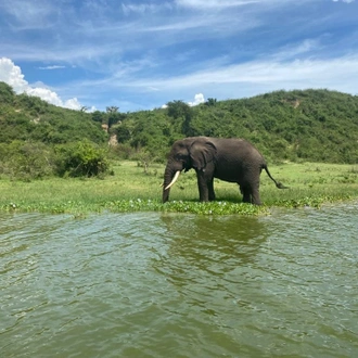 tourhub | Ganyana Safaris | 8 Days The Big 5 Adventure Safari 