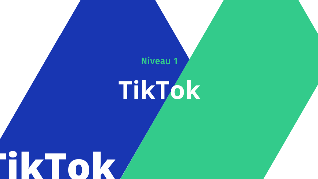 Représentation de la formation : TIK TOK