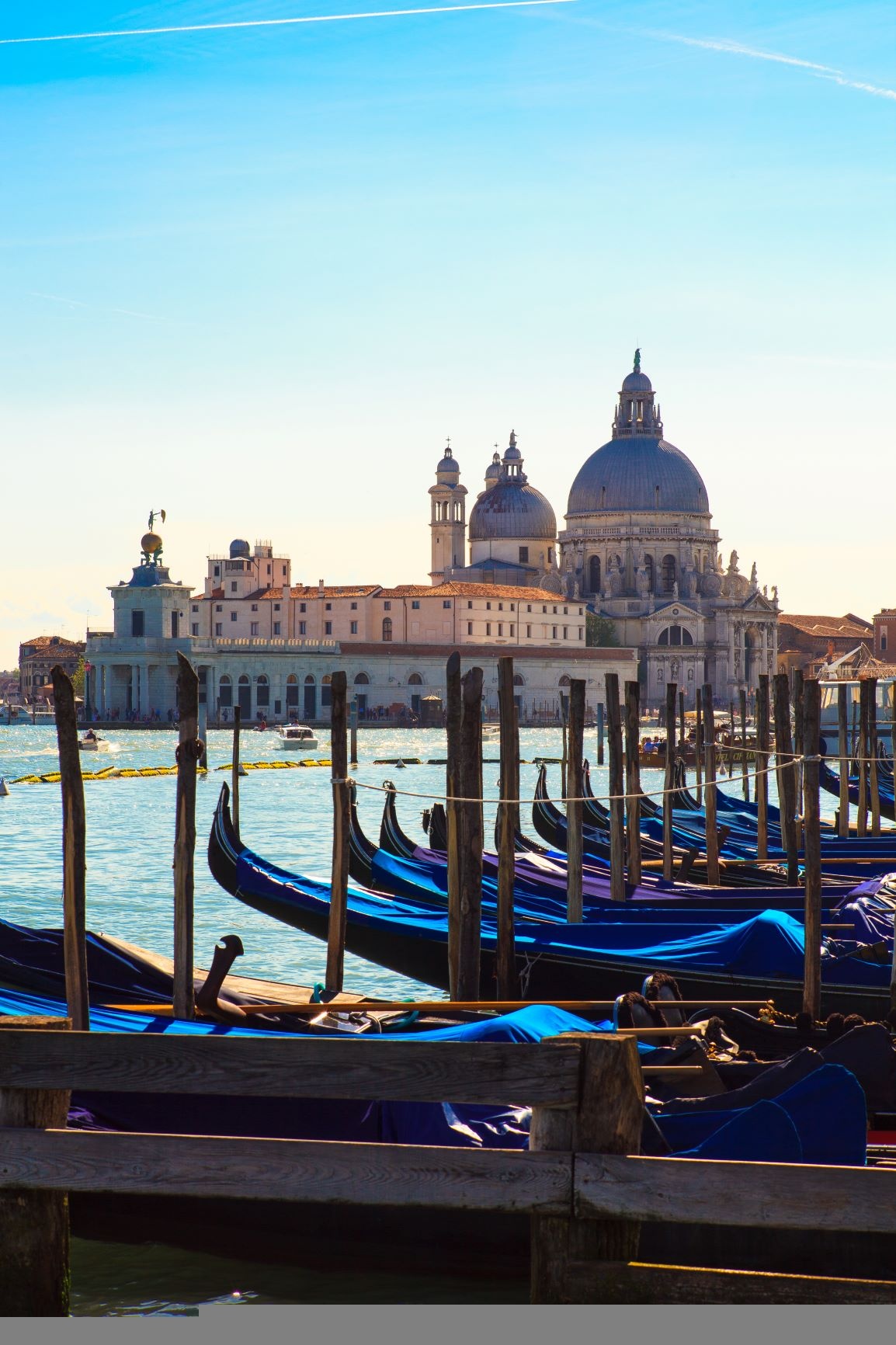 An Exclusive Walking Tour of Venice, Italy With A Local History and Culture expert 