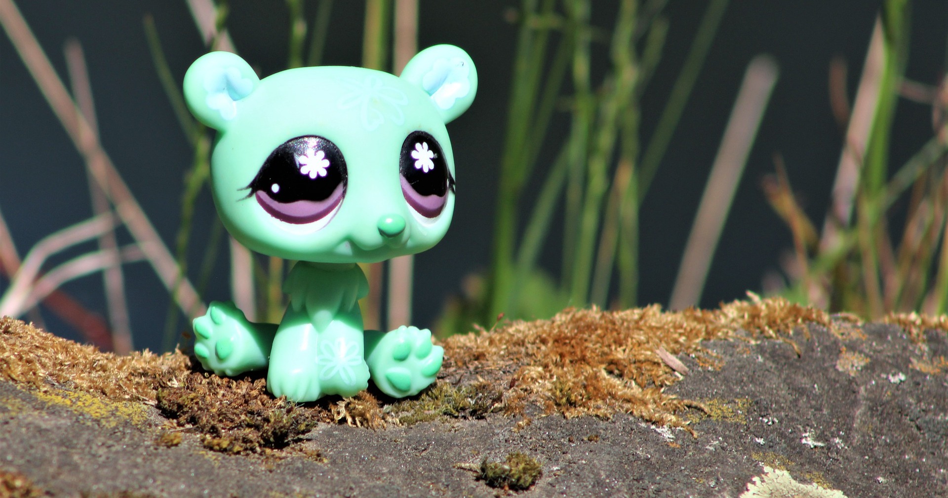 The evolution of LPS ( A history of littlest pet shop ) Part one