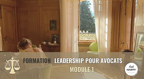 Représentation de la formation : Leadership pour avocats - module 1