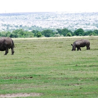 tourhub | Frenzy Adventures Limited | Jambo Kenya 