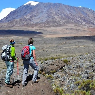 tourhub | Gracepatt Ecotours Kenya | 10 Days Mount Kilimanjaro Hike- Lemosho Route  