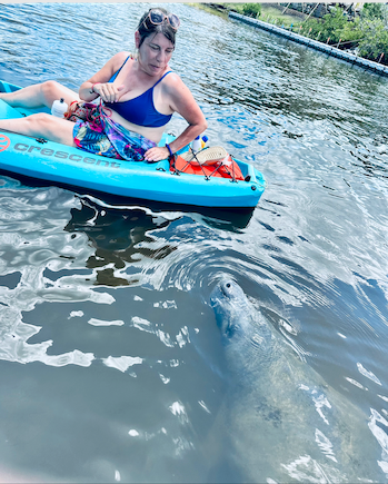 Dolphin and Manatee Adventure Tour of Cocoa Beach