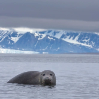 tourhub | Exodus Adventure Travels | Spitsbergen Highlights: Expedition in Brief 