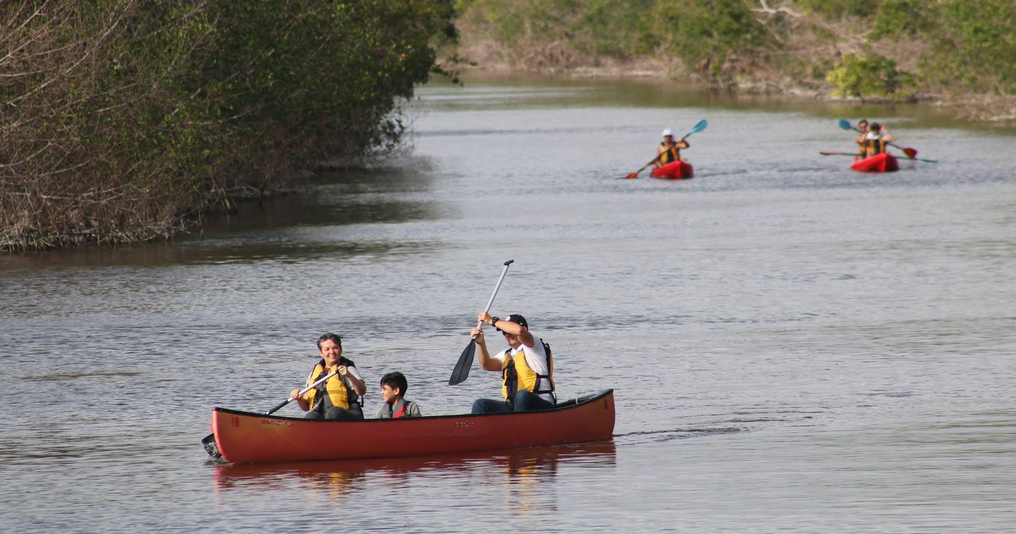 8 Hour Kayak / Canoe Rental