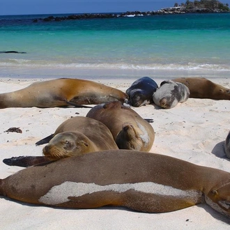 tourhub | G Adventures | Galápagos — West & Central Islands aboard the Eden 