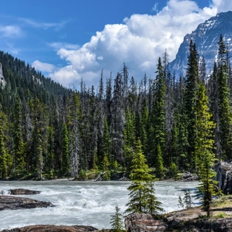 tourhub | Cosmos | The Canadian Rockies with Alaska Cruise 