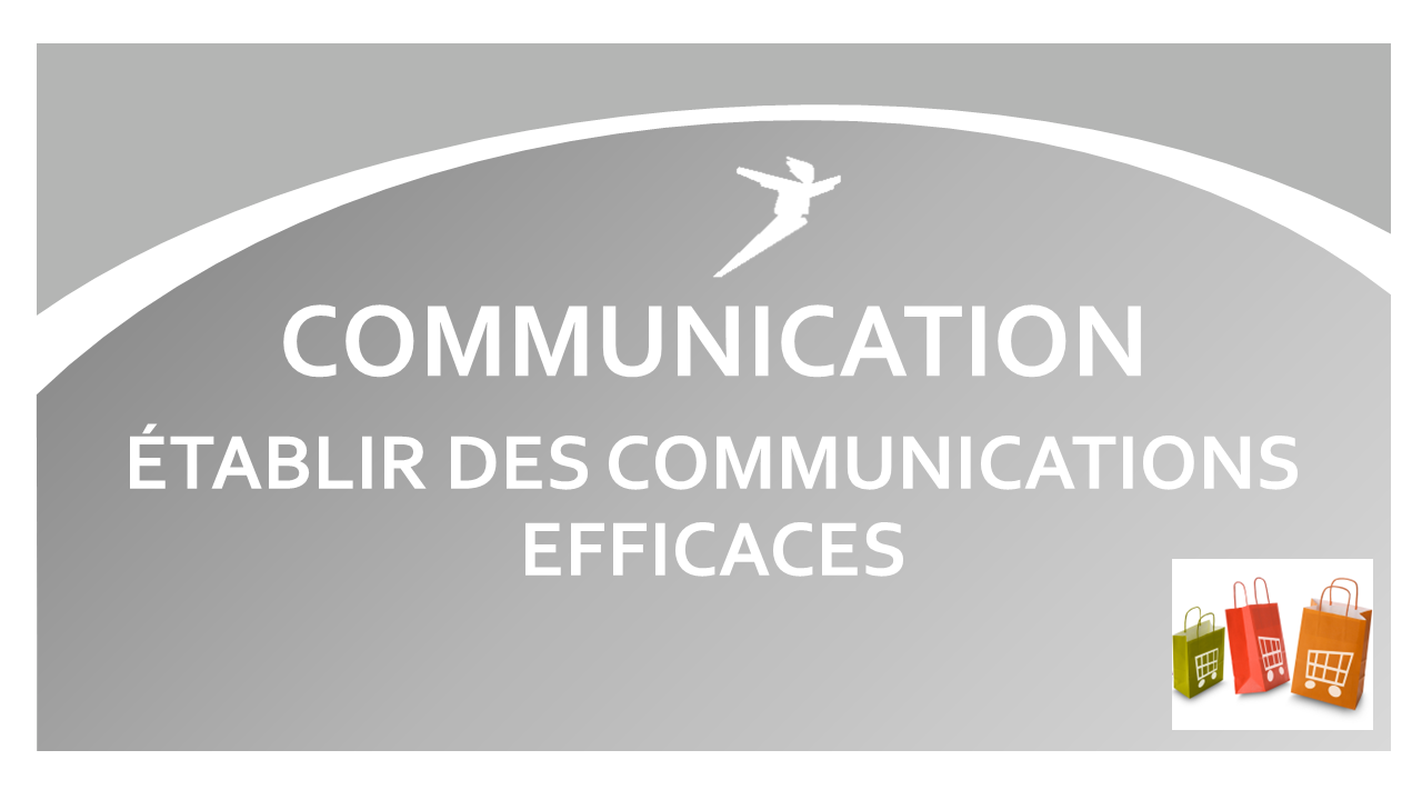 Représentation de la formation : ETABLIR DES COMMUNICATIONS EFFICACES