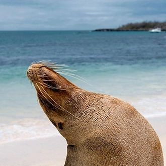 tourhub | Latin Trails | Galapagos West, Central, North & Southern Islands Cruise 