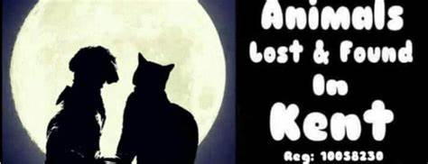 Animals Lost and Found in Kent Ltd logo