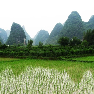 tourhub | Silk Road Trips | Private Tour: 6-Day Tour From Hong Kong to Yangshuo 