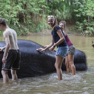 tourhub | Stelaran Holidays | Elephant in Sri Lanka 