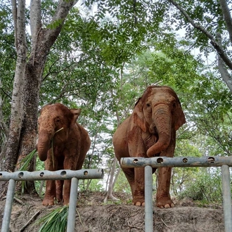 tourhub | One Life Adventures | Thailand Classic 10 Day Tour 