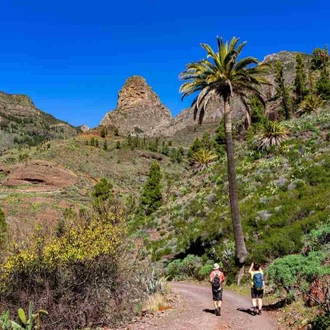 tourhub | YellowWood Adventures | Canary Islands Yoga Adventure 