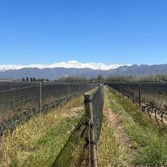 tourhub | Collette | Essential South America featuring Chile, the Mendoza Wine Region & Buenos Aires 